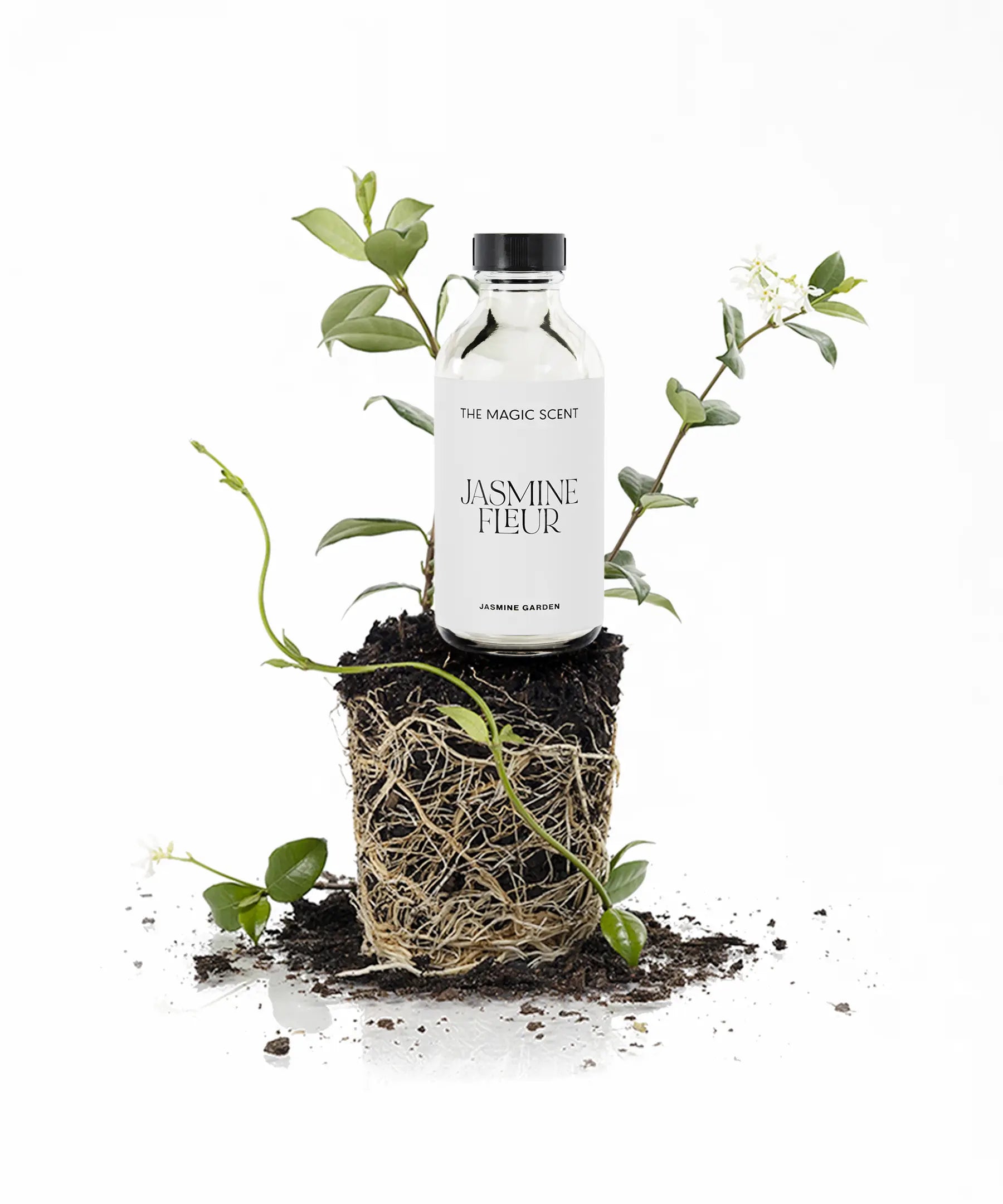 Jasmine Fleur Diffuser Oil