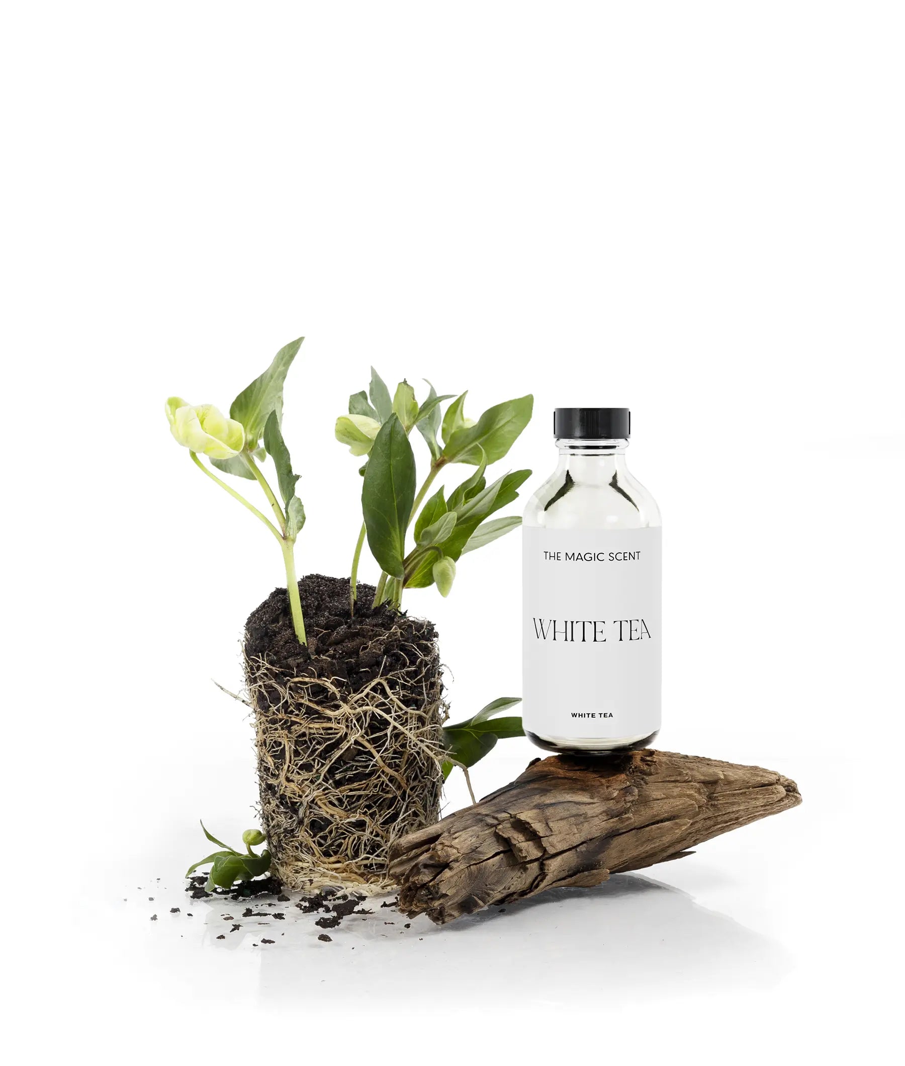 White Tea